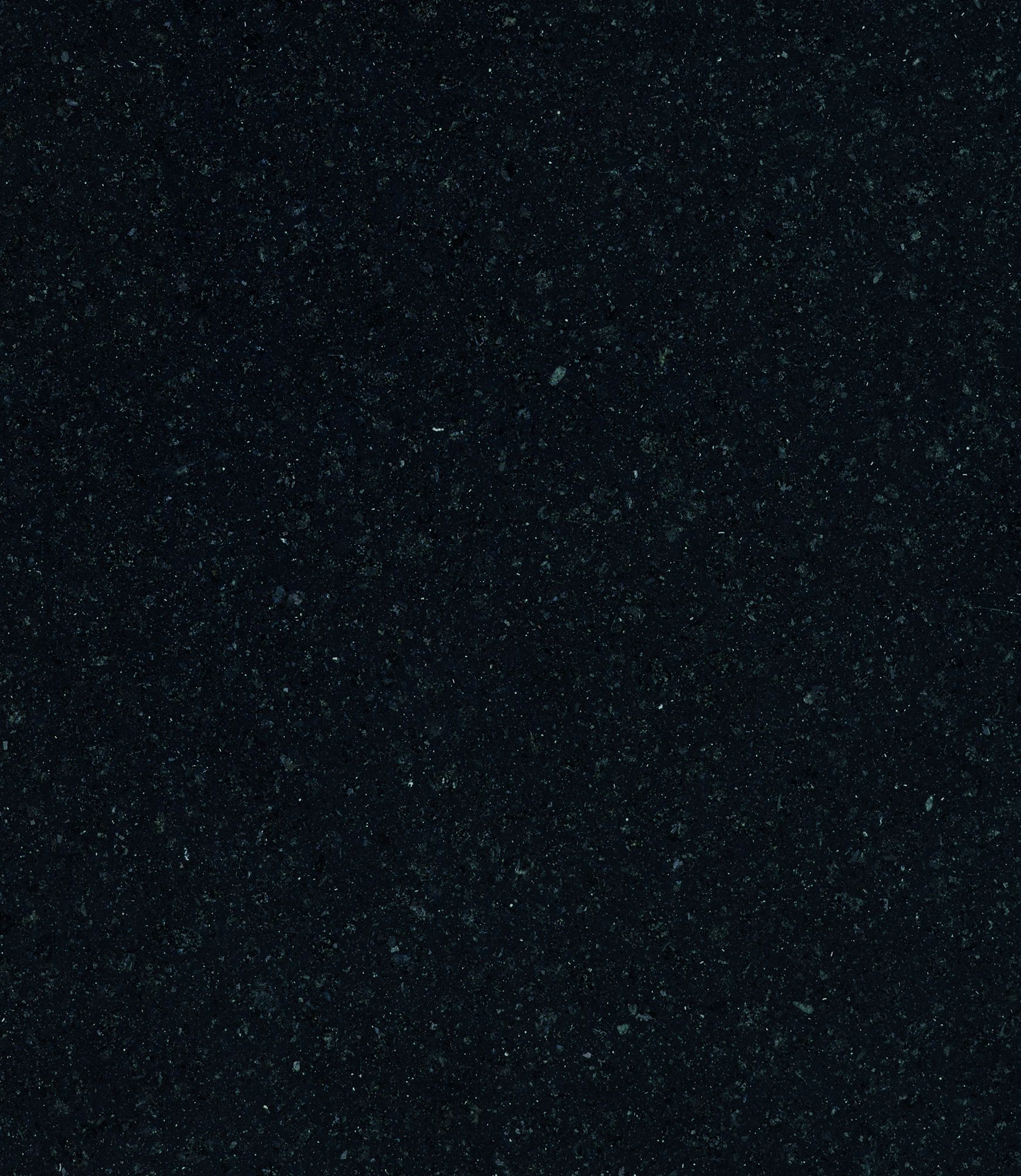 Black Truffle