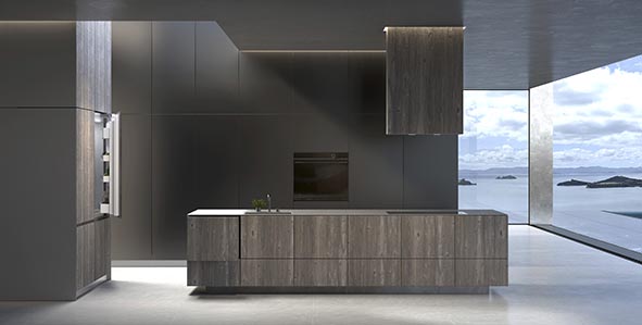 Fisher & Paykel appliances